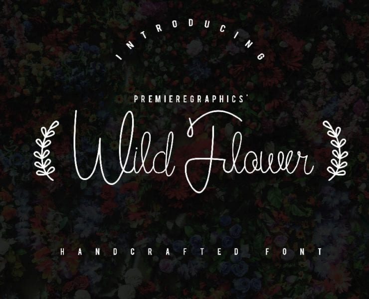 Wild Flower Script Font - Engine Templates