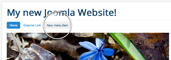 Joomla Article Page &Amp; How To Link Articles