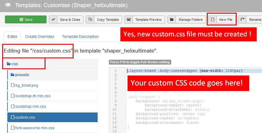 Custom_Css_File