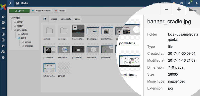 Joomla 4 Media File Property