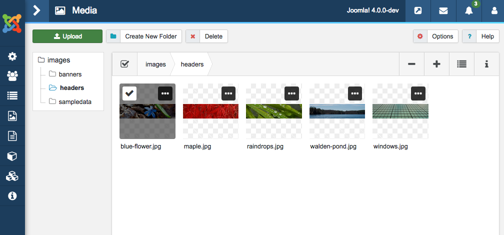 webtrees joomla integration