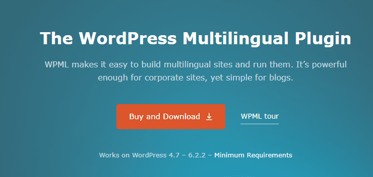 Wordpress Multilingual Plugin 1
