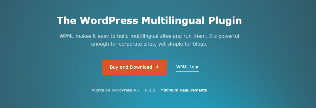 Wordpress Translation Plugin 1