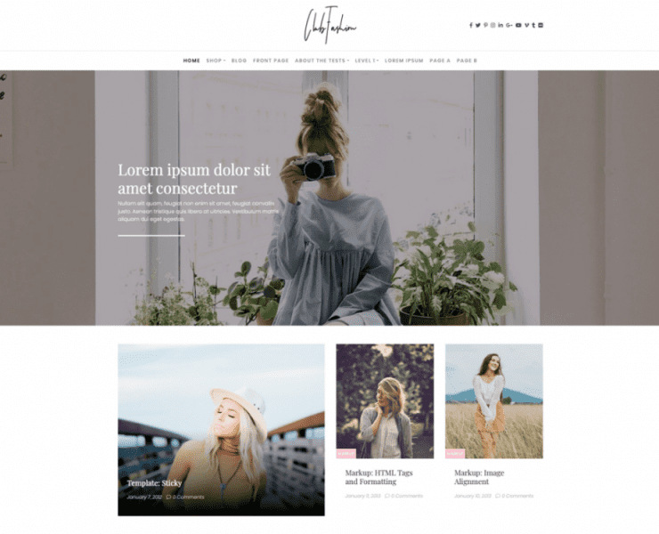 Free Clubfashion Wordpress Theme