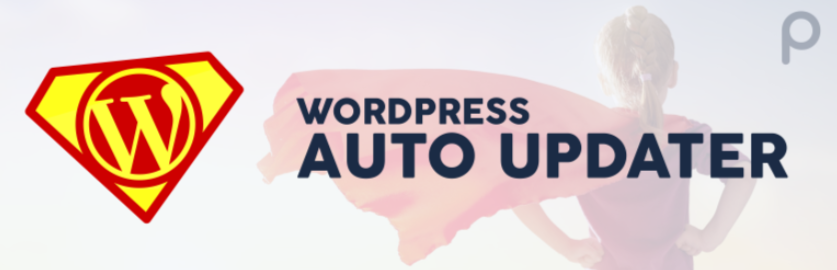 Top 5 Best WordPress Auto Update Plugins - Engine Templates