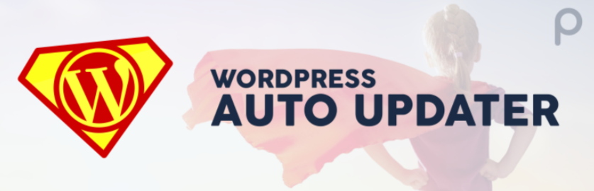 Top 5 Best WordPress Auto Update Plugins