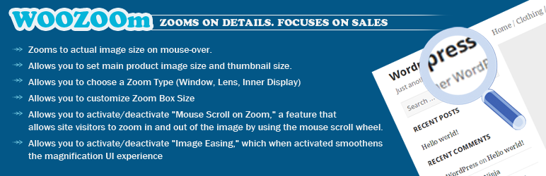 Wordpress Zoom Plugin