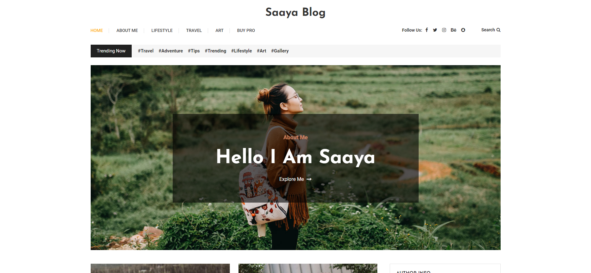 Saaya Blog