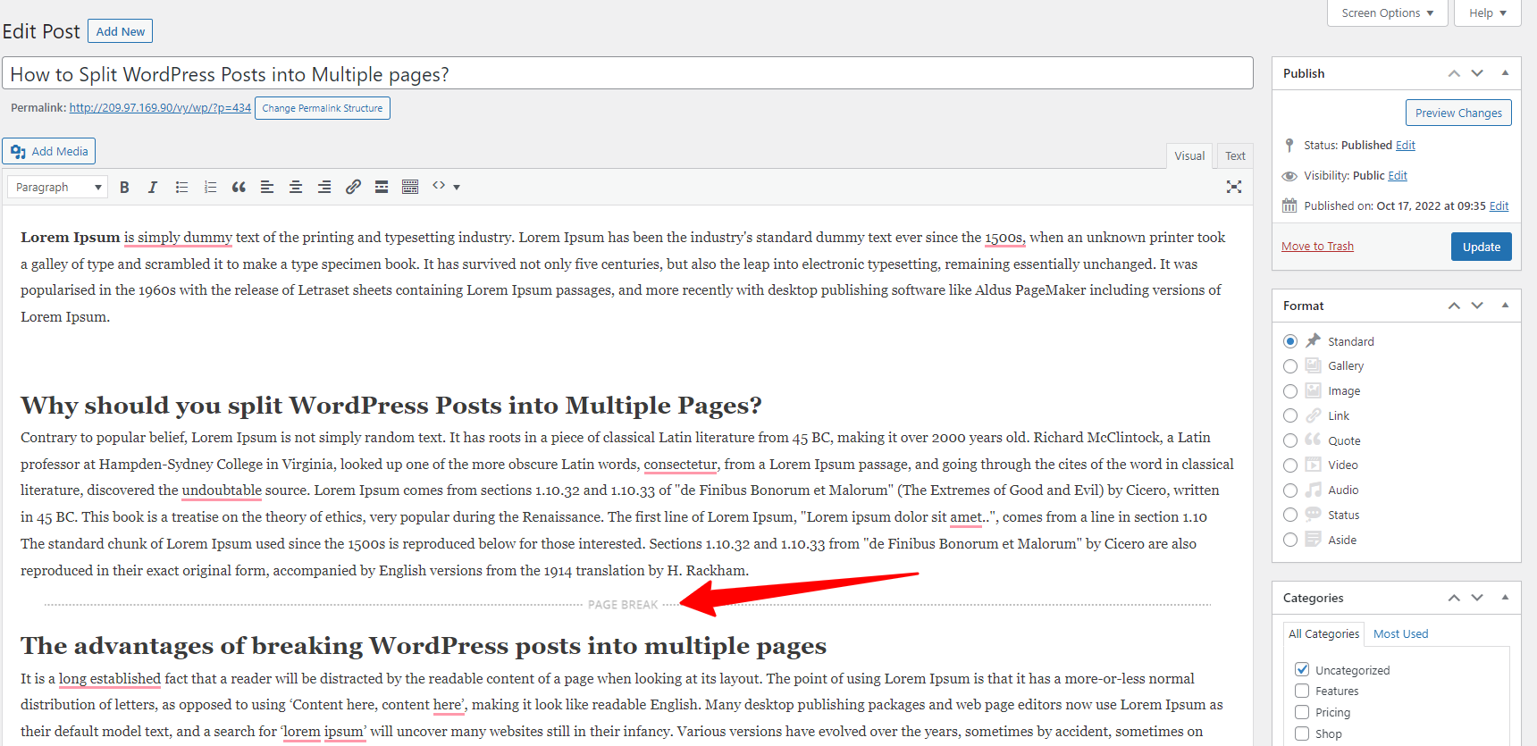 Split Wordpress Posts Into Multiple Pages 5