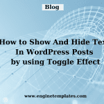 Show And Hide Text In WordPress Post