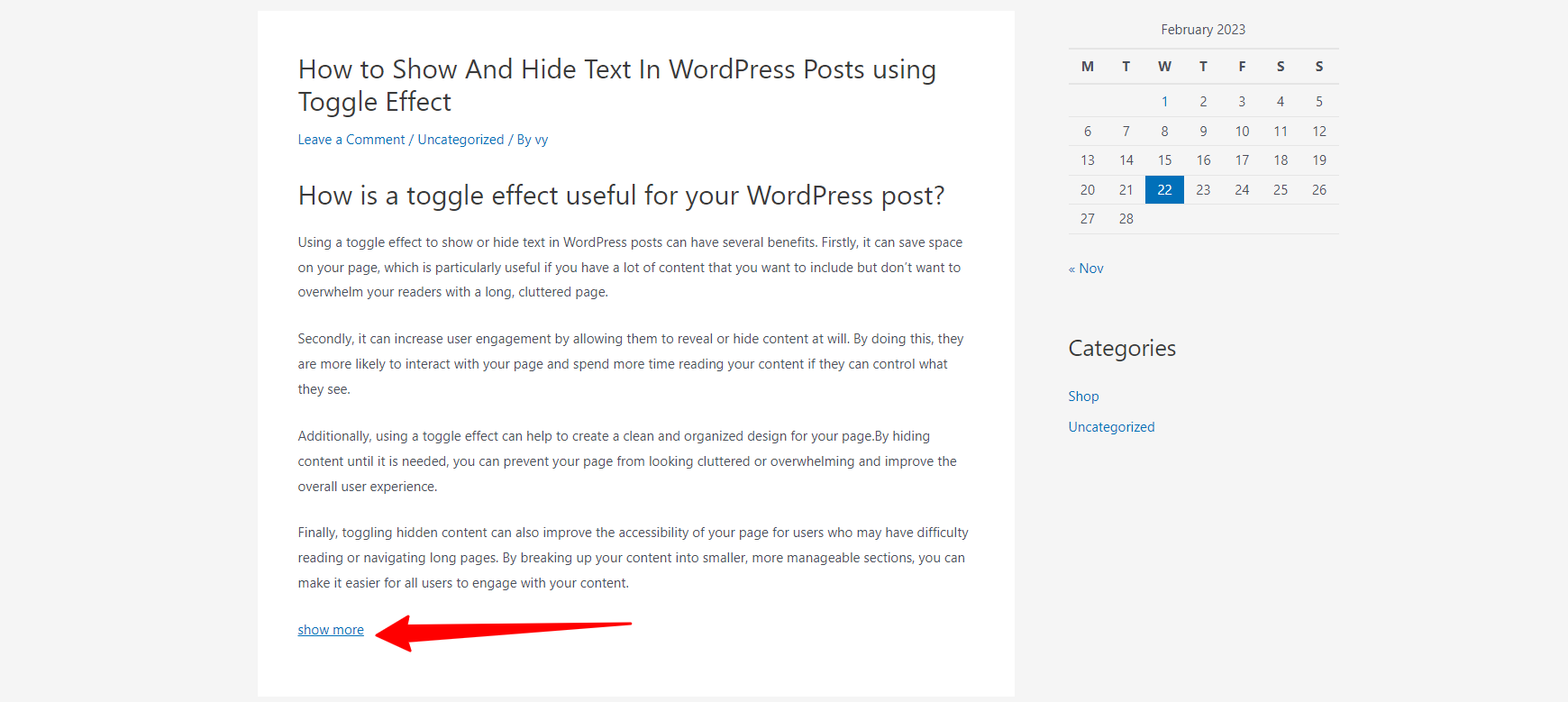 Show And Hide Text In Wordpress Post With Toggle Effect 6