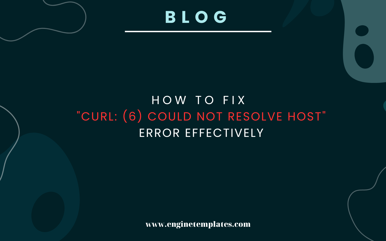 How to Fix "Curl (6) could not resolve host" Error effectively