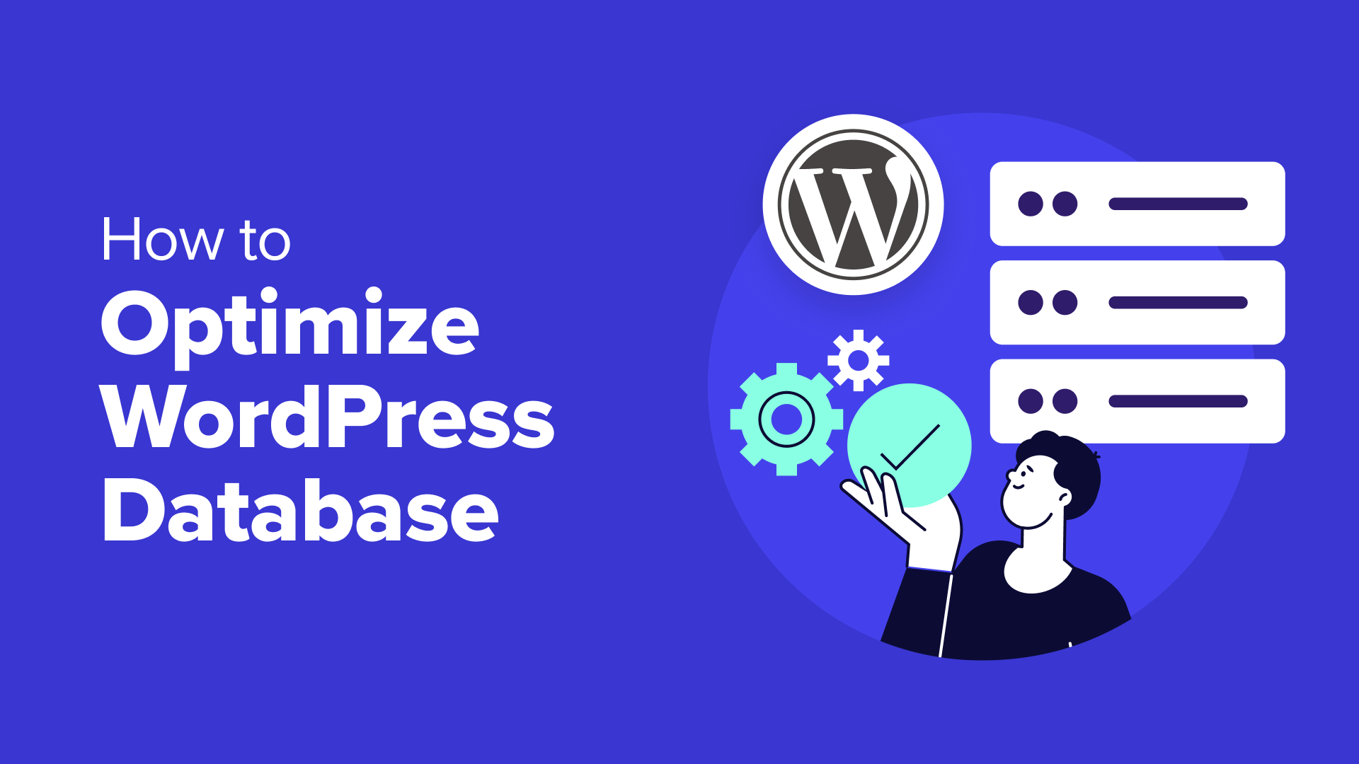 Clean Up And Optimize Wordpress Database