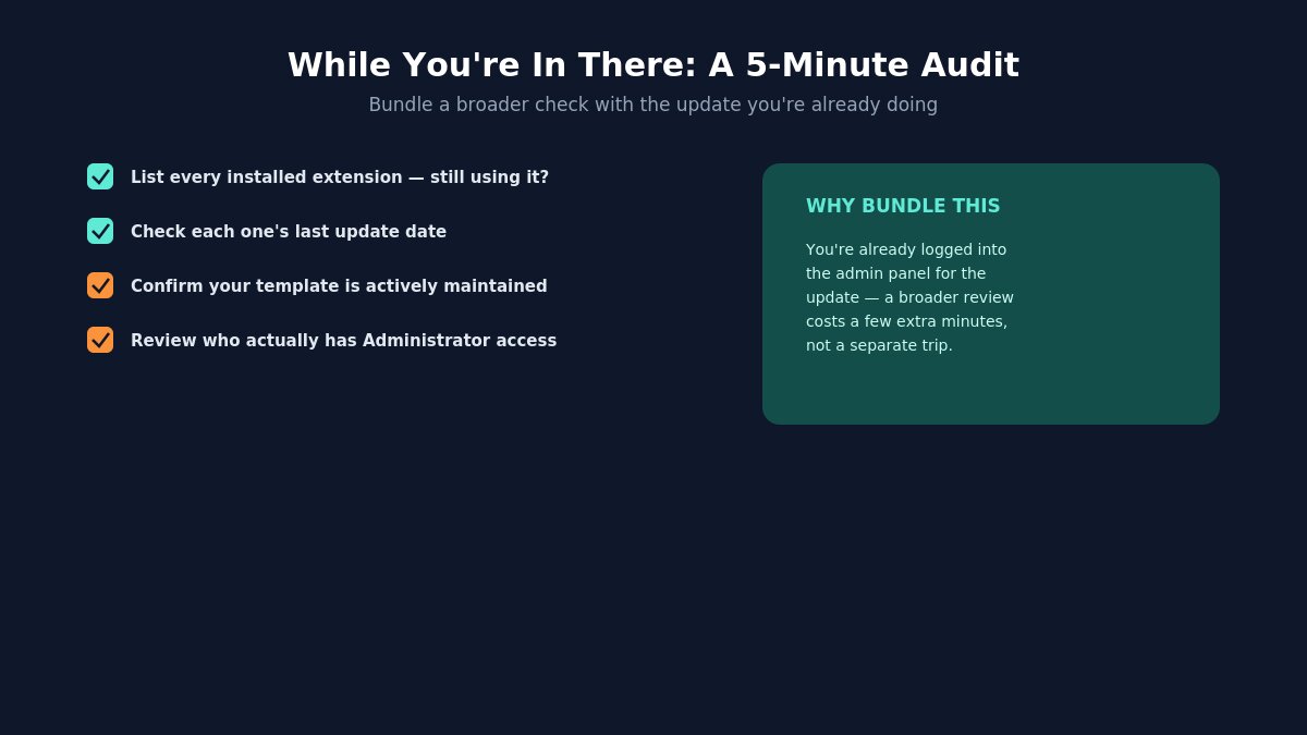 extension audit during update