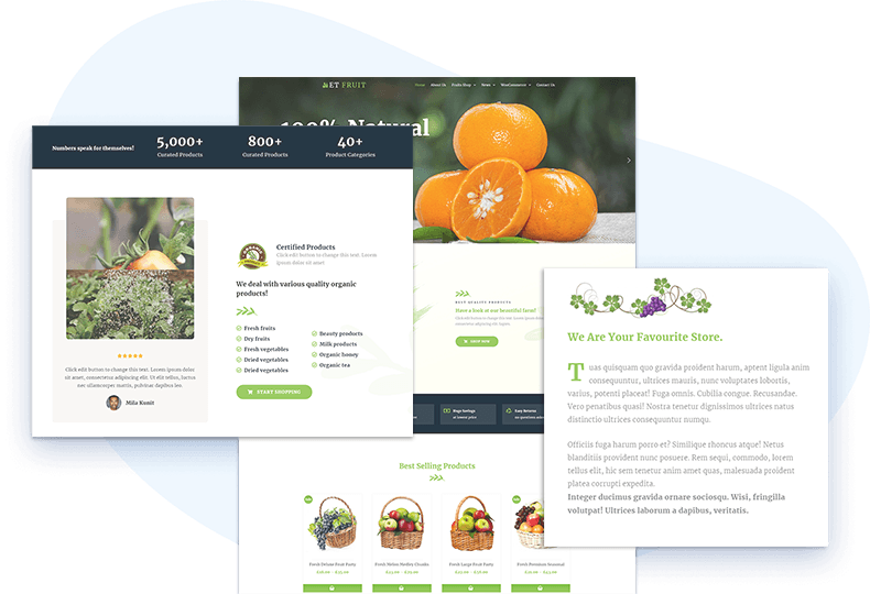 et-fruit-free-wordpress-theme-elementor